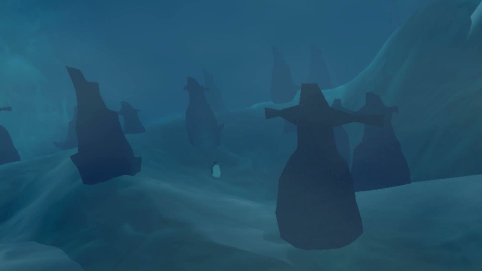 Penguin Colony shoreline at dusk